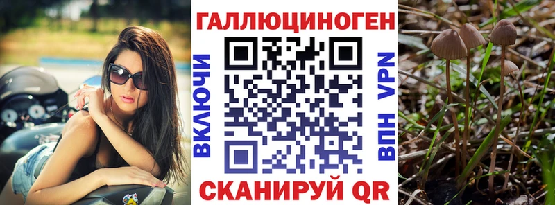 Псилоцибиновые грибы мицелий  Купить где  Полярный 